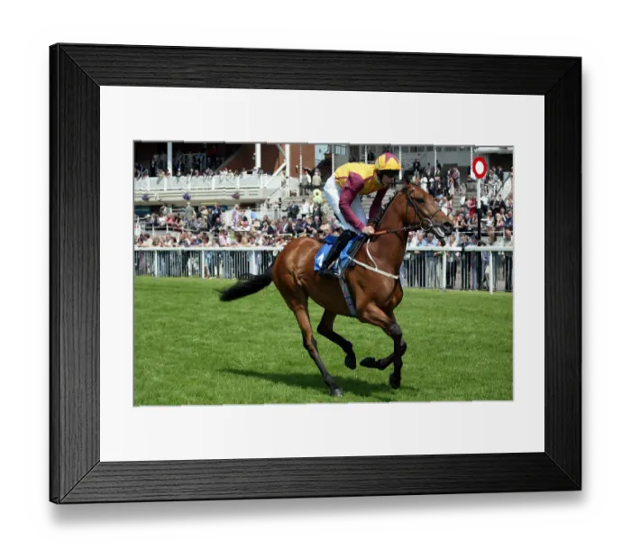 Framed Print : Albuhera Ridden By K.Dalgleish York Races York Racecousre, York, England 14 June 2003 Date Framed Print : Albuhera Ridden By K.Dalgleish York Races York Racecousre, York, England 14 June 2003 Date