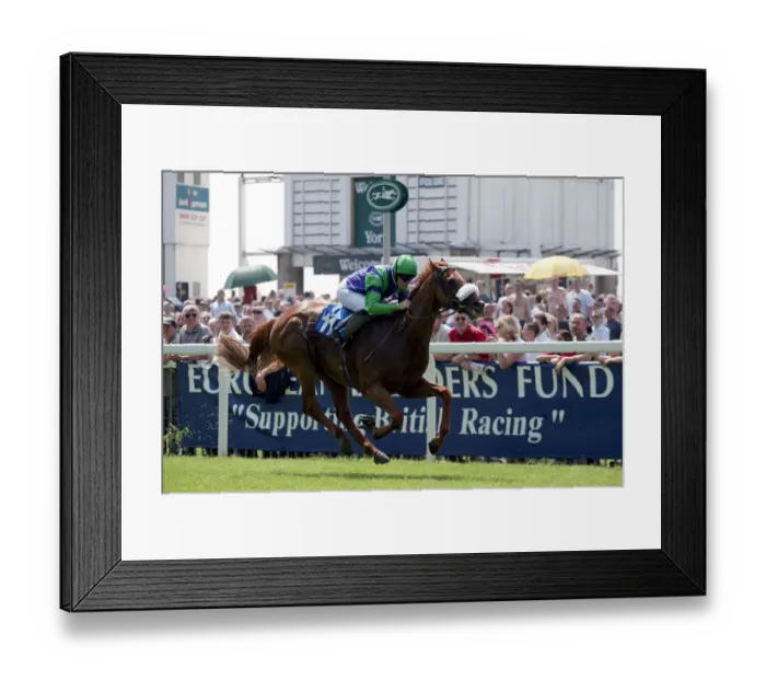 Framed Print : Krugerrand