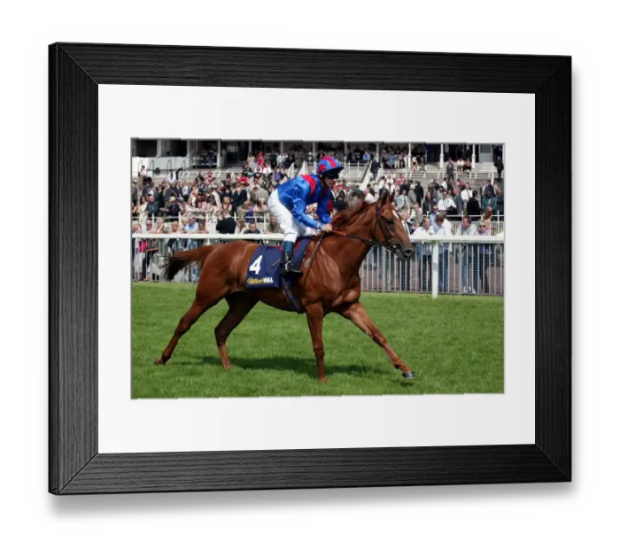 Framed Print : Flying Express Framed Print : Flying Express