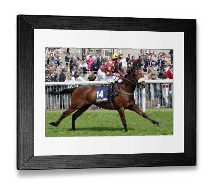 Framed Print : River Falcon Framed Print : River Falcon