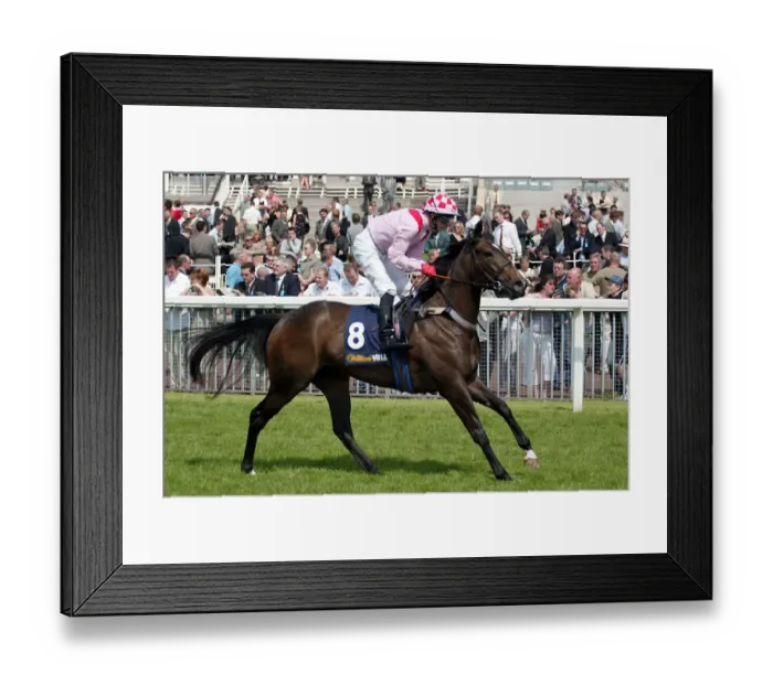 Framed Print : Ikan Ridden By M.Fenton York Races York Racecousre, York, England 14 June 2003 Date Framed Print : Ikan Ridden By M.Fenton York Races York Racecousre, York, England 14 June 2003 Date