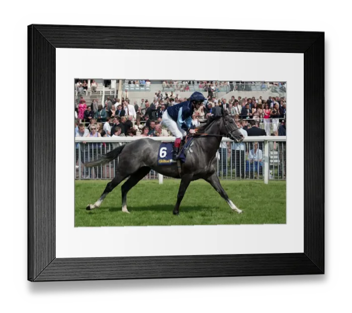 Framed Print : Stormont Ridden By J.Quinn York Races York Racecousre, York, England 14 June 2003 Date Framed Print : Stormont Ridden By J.Quinn York Races York Racecousre, York, England 14 June 2003 Date