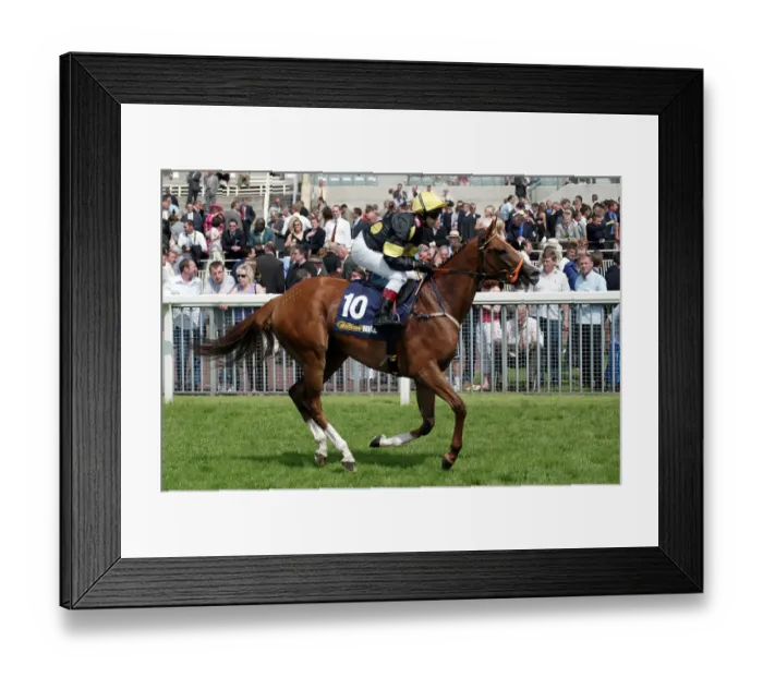 Framed Print : Bond Royale Framed Print : Bond Royale
