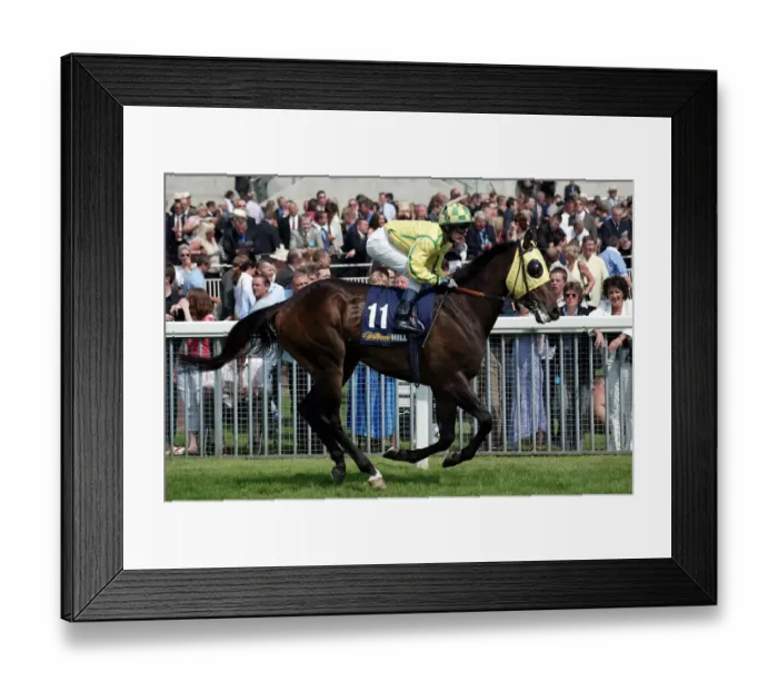 Framed Print : Mr Malarkey