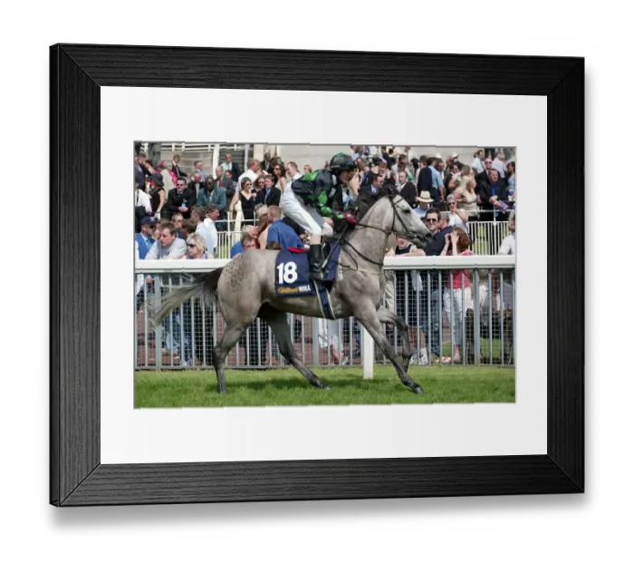 Framed Print : Diamond Orchid