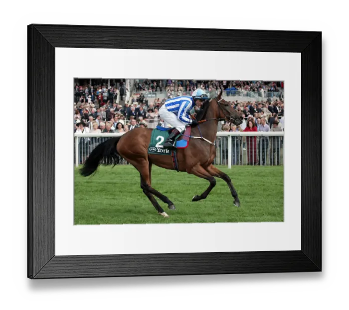 Framed Print : Landinium Ridden By K.Darley York Races York Racecorse, York, England 21 August 2003 Date Framed Print : Landinium Ridden By K.Darley York Races York Racecorse, York, England 21 August 2003 Date