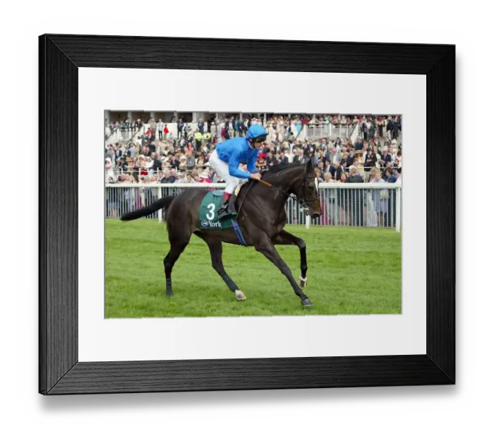 Framed Print : Mezzo Soprano Framed Print : Mezzo Soprano