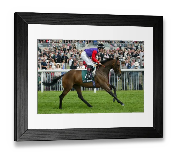 Framed Print : Allergy Ridden By S.Drowne York Races York Racecorse, York, England 21 August 2003 Date
