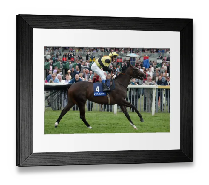 Framed Print : Dunloskin Ridden By P.Robinson York Races York Racecorse Framed Print : Dunloskin Ridden By P.Robinson York Races York Racecorse