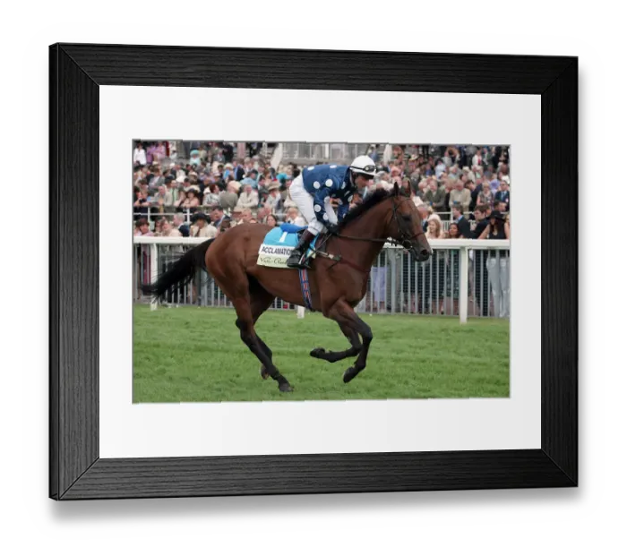 Framed Print : Acclamation