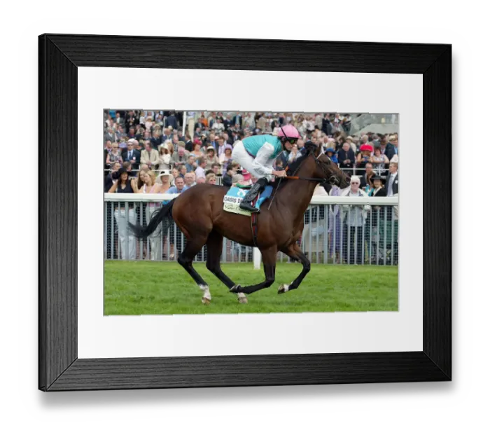 Framed Print : Oasis Dream Framed Print : Oasis Dream