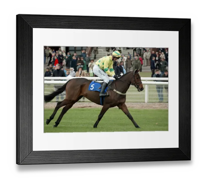 Framed Print : Watch The Dove Framed Print : Watch The Dove