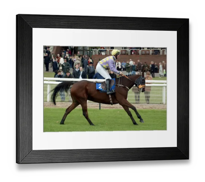 Framed Print : Satshoon Ridden By C.Williams Cheltenham Races Cheltenham Racecourse Framed Print : Satshoon Ridden By C.Williams Cheltenham Races Cheltenham Racecourse
