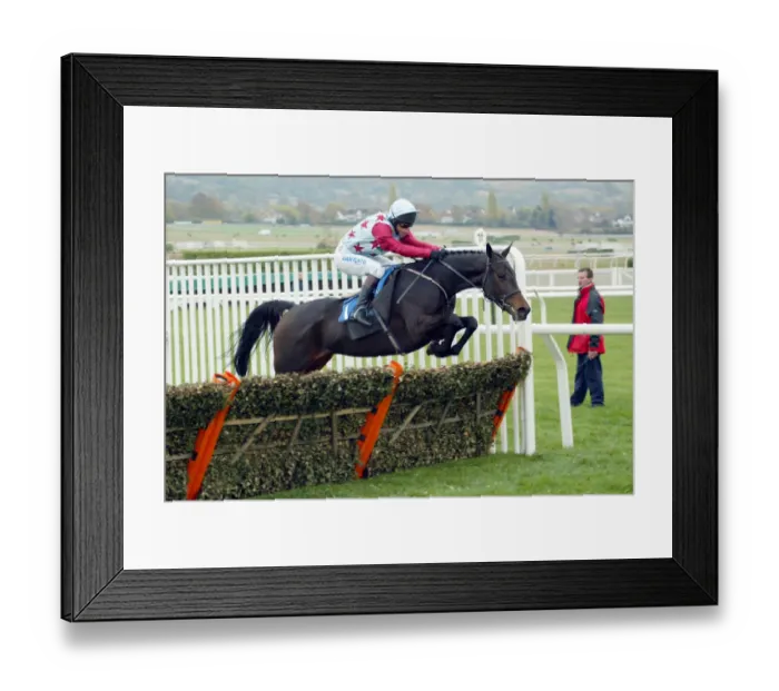 Framed Print : Ollie Magern Framed Print : Ollie Magern