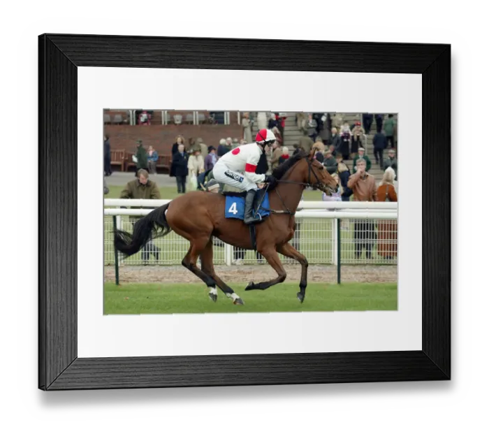 Framed Print : Puntal Ridden By A.P.Mccoy Cheltenham Races Cheltenham Racecourse Framed Print : Puntal Ridden By A.P.Mccoy Cheltenham Races Cheltenham Racecourse