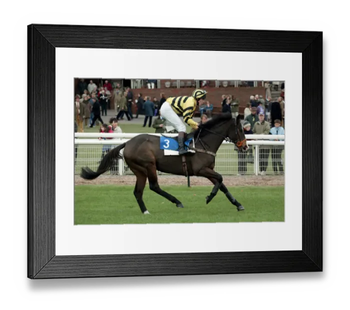 Framed Print : Polish Pilot Framed Print : Polish Pilot