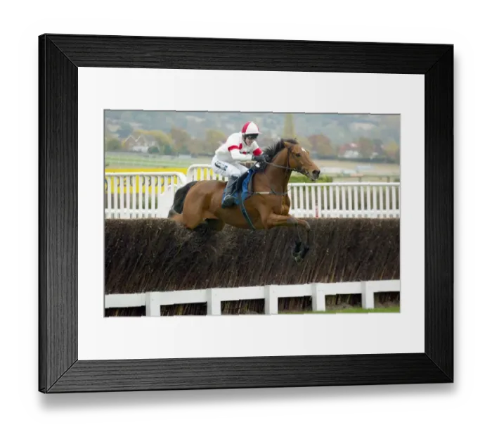 Framed Print : Puntal Ridden By A.P.Mccoy Cheltenham Races Cheltenham Racecourse Framed Print : Puntal Ridden By A.P.Mccoy Cheltenham Races Cheltenham Racecourse