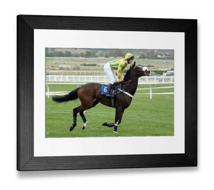 Framed Print : Monsieur Tagel Framed Print : Monsieur Tagel