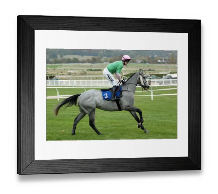 Framed Print : Jollyolly Ridden By A.P.Mccoy Cheltenham Races Cheltenham Racecourse Framed Print : Jollyolly Ridden By A.P.Mccoy Cheltenham Races Cheltenham Racecourse