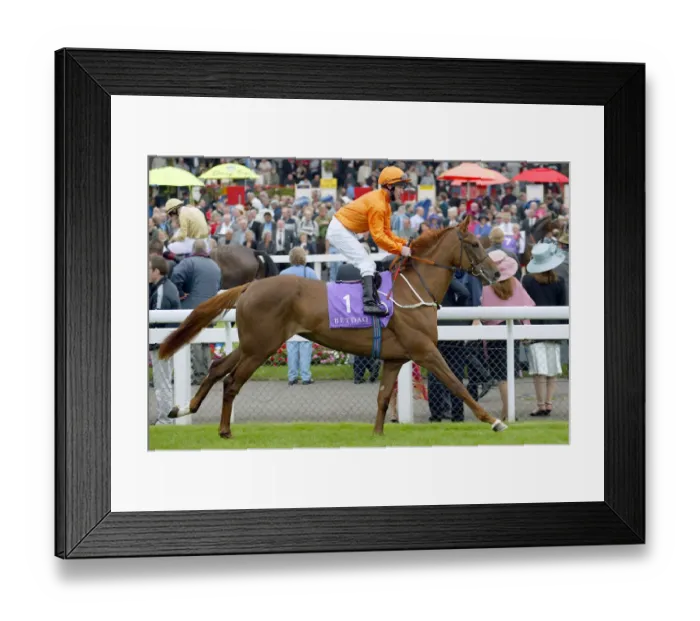 Framed Print : Caracara Ridden By J.Fanning St Leger Festival Doncaster Racecourse Framed Print : Caracara Ridden By J.Fanning St Leger Festival Doncaster Racecourse