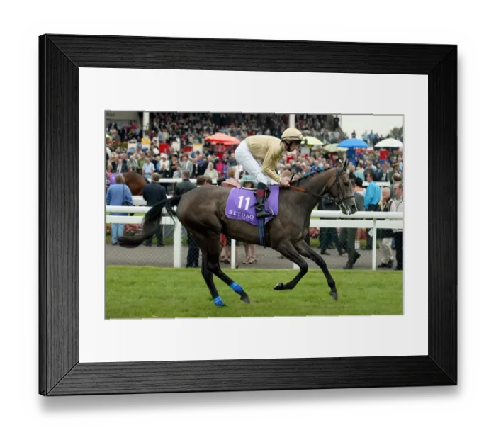 Framed Print : Tamarillo Ridden By T.E.Durcan St Leger Festival Doncaster Racecourse Framed Print : Tamarillo Ridden By T.E.Durcan St Leger Festival Doncaster Racecourse