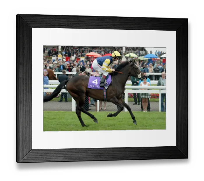 Framed Print : In Deep Ridden By Martin Dwyer St Leger Festival Doncaster Racecourse Framed Print : In Deep Ridden By Martin Dwyer St Leger Festival Doncaster Racecourse