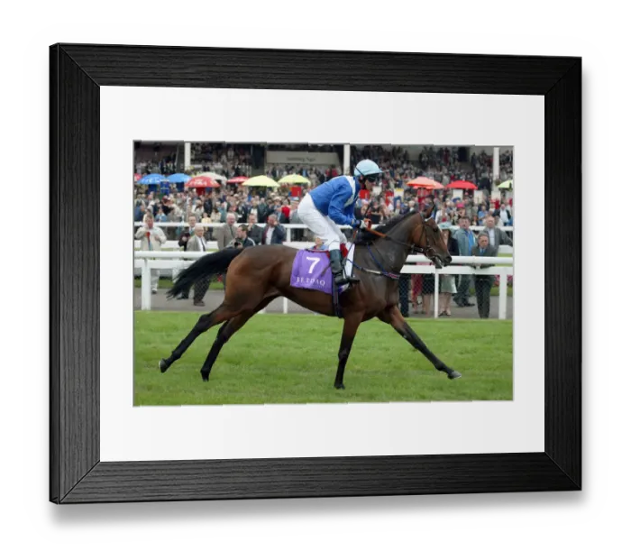 Framed Print : Lucky Pipit Framed Print : Lucky Pipit