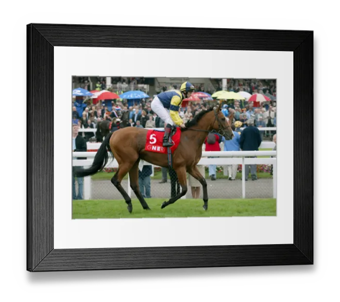 Framed Print : Royal Millenium Framed Print : Royal Millenium