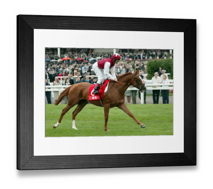 Framed Print : With Reason Framed Print : With Reason