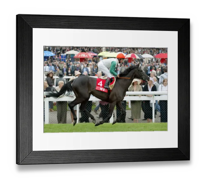 Framed Print : Pole Star Ridden By Pat Eddery St Leger Festival Doncaster Racecourse Framed Print : Pole Star Ridden By Pat Eddery St Leger Festival Doncaster Racecourse