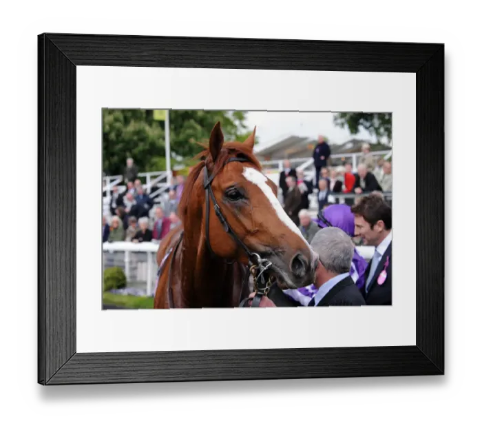 Framed Print : Cape Blanco Ridden By Johnny Murtagh Wins Ahead Of Workforce