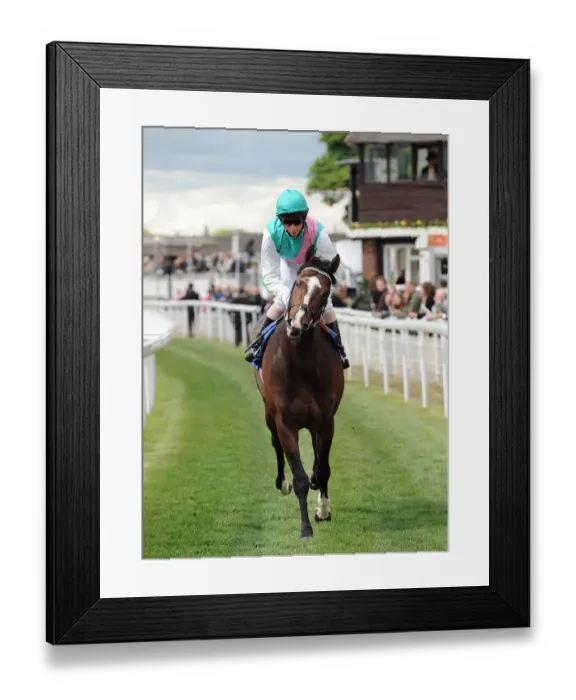 Framed Print : Showcasing Framed Print : Showcasing