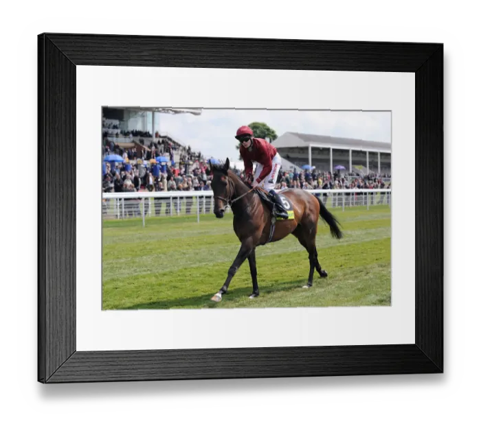 Framed Print : Sariska Ridden By Spencer Dante Festival, York Racecourse York Racecourse Framed Print : Sariska Ridden By Spencer Dante Festival, York Racecourse York Racecourse