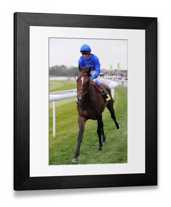 Framed Print : Chabal Ridden By Frankie Dettori Dante Festival Framed Print : Chabal Ridden By Frankie Dettori Dante Festival