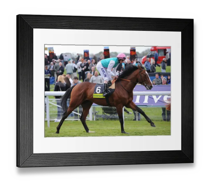 Framed Print : Workforce Ridden By Ryan Moore Dante Festival Framed Print : Workforce Ridden By Ryan Moore Dante Festival