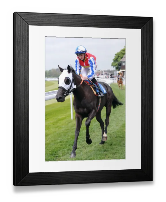 Framed Print : Primo Lady Framed Print : Primo Lady