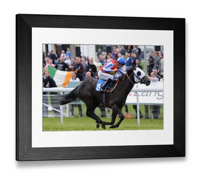 Framed Print : Primo Lady Ridden By David Probert Framed Print : Primo Lady Ridden By David Probert