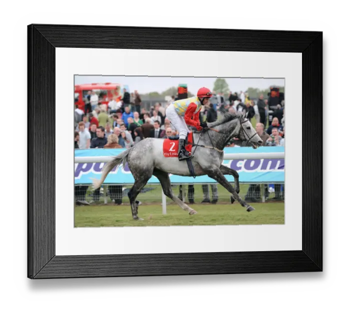 Framed Print : Nanton Ridden By Daniel Tudhope Dante Festival Framed Print : Nanton Ridden By Daniel Tudhope Dante Festival