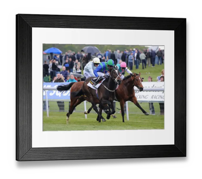 Framed Print : Aviate Ridden By Eddie Ahern Rail Side Wins Ahead Of Gold Bu Framed Print : Aviate Ridden By Eddie Ahern Rail Side Wins Ahead Of Gold Bu