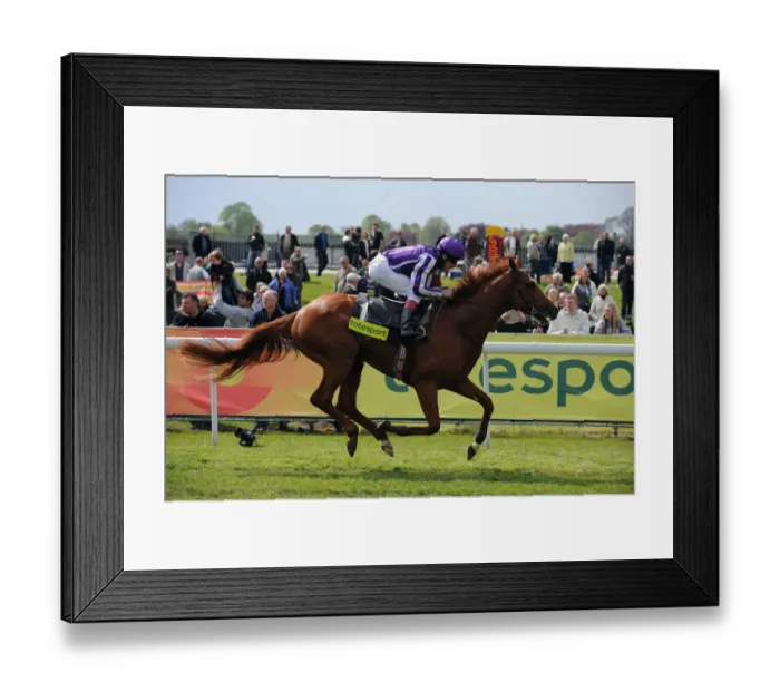 Framed Print : Cape Blanco Ridden By Johnny Murtagh Wins Ahead Of Workforce Framed Print : Cape Blanco Ridden By Johnny Murtagh Wins Ahead Of Workforce