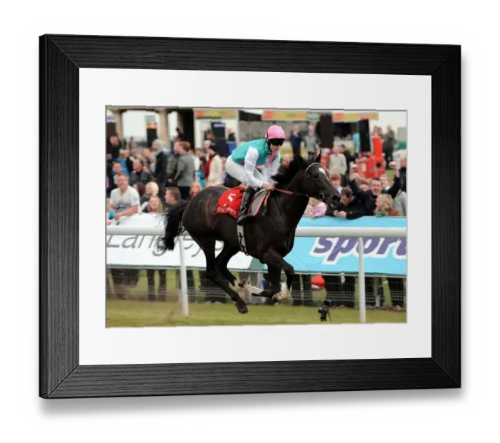 Framed Print : Manifest Ridden By Tom Queally Wins Framed Print : Manifest Ridden By Tom Queally Wins