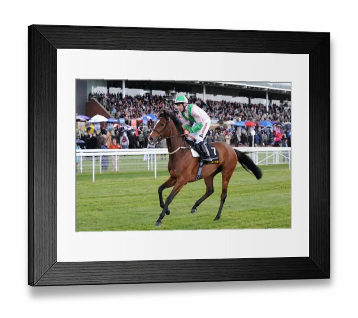 Framed Print : Pink Sympjony Framed Print : Pink Sympjony