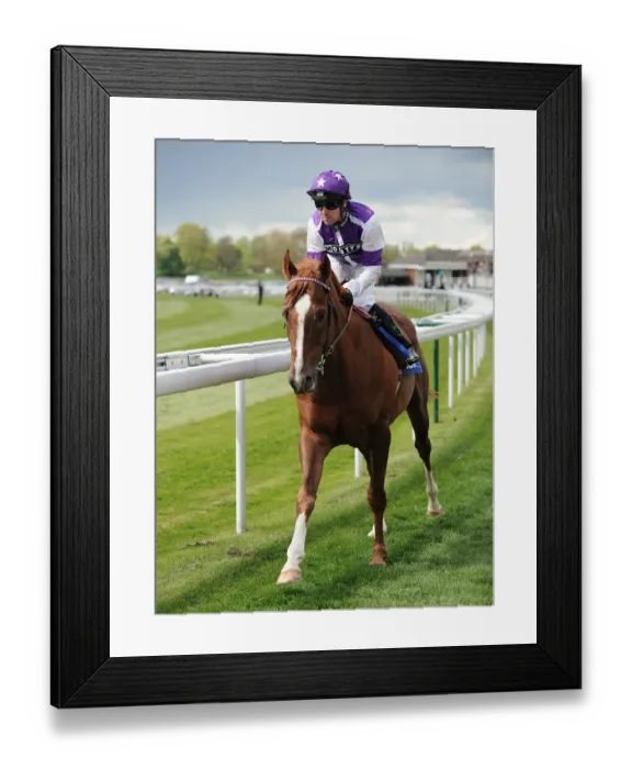 Framed Print : Prime Defender Framed Print : Prime Defender