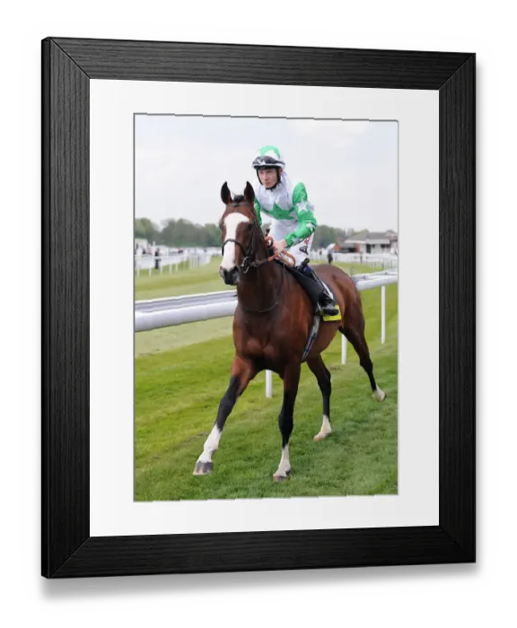 Framed Print : Coordinated Cut Framed Print : Coordinated Cut
