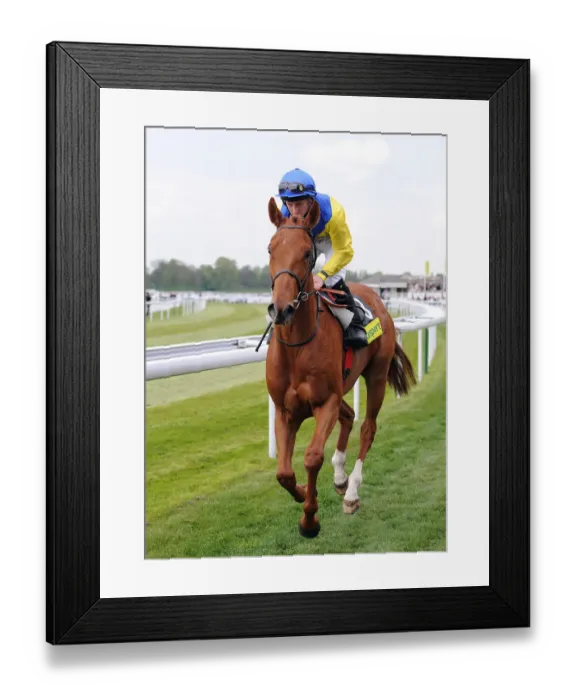 Framed Print : Circumvent