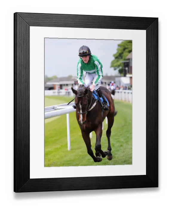 Framed Print : Lady Brookie Framed Print : Lady Brookie