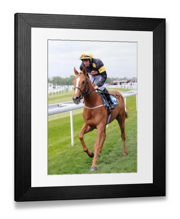 Framed Print : Lady Platinum Club Framed Print : Lady Platinum Club
