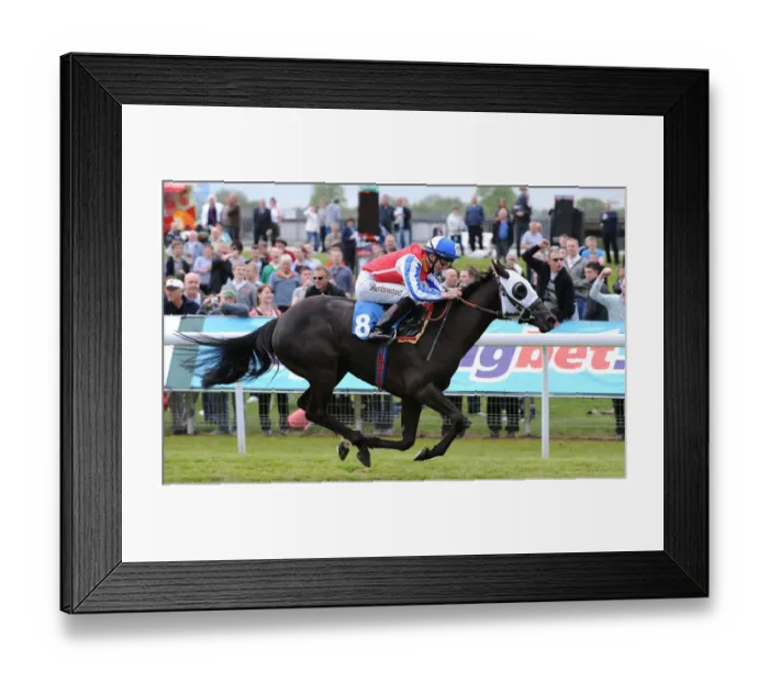 Framed Print : Primo Lady Ridden By David Probert Framed Print : Primo Lady Ridden By David Probert