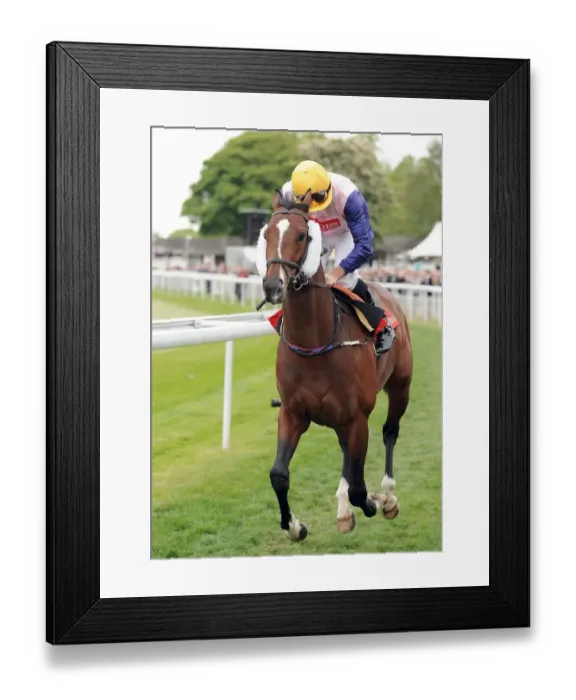 Framed Print : Oasis Knight Framed Print : Oasis Knight