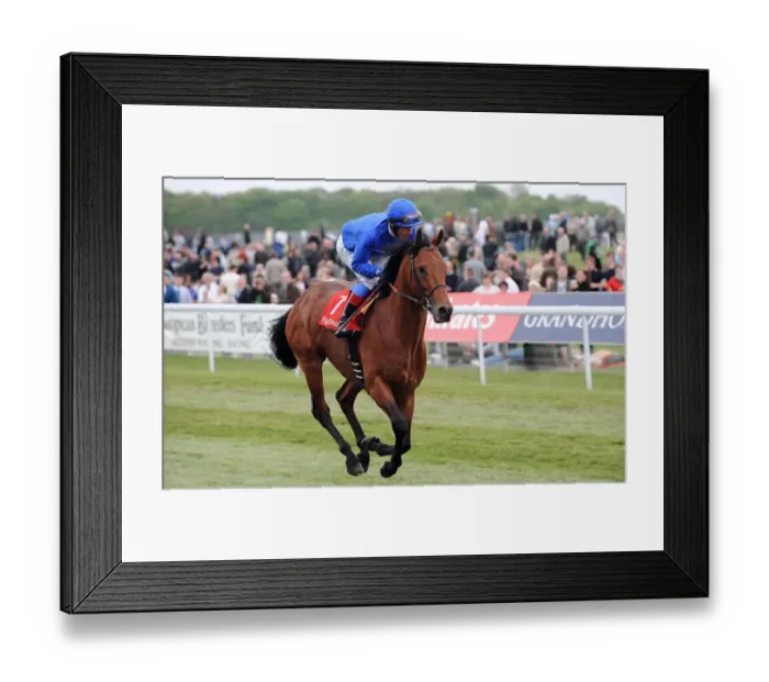 Framed Print : Wajir Ridden By Frankie Dettori Dante Festival Framed Print : Wajir Ridden By Frankie Dettori Dante Festival